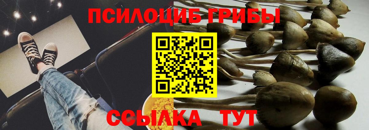 Галлюциногенные грибы Psilocybine cubensis  Вход с VPN  Алапаевск 